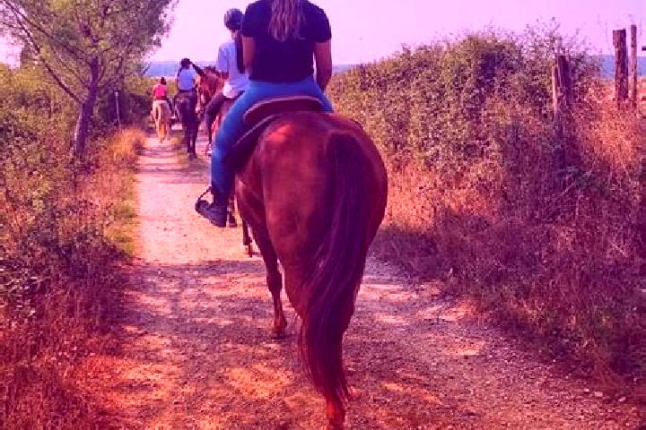 Piper, 21 — Escort in Castellina Scalo, Italy