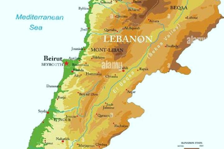 Piper, 21 — Escort in Fadous, Lebanon
