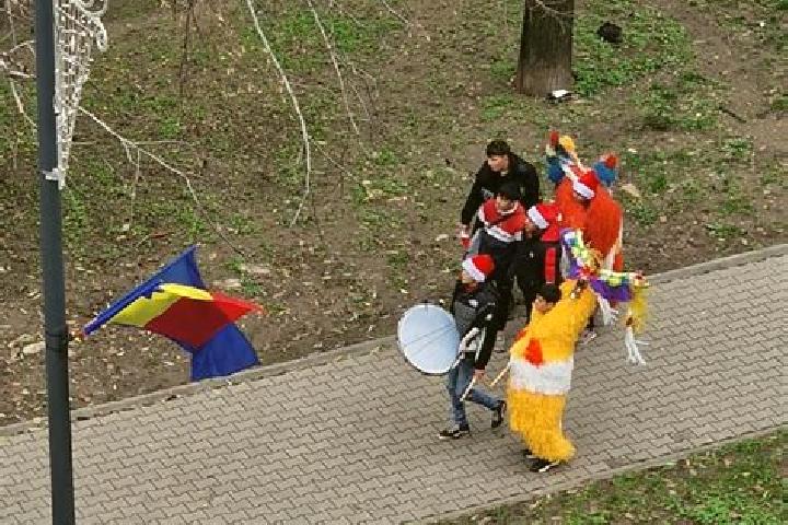 Piper, 21 — Escort in Nereju, Romania