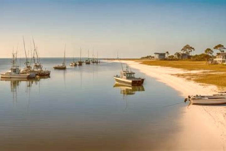 Piper, 21 — Escort in Port Saint Joe, United States
