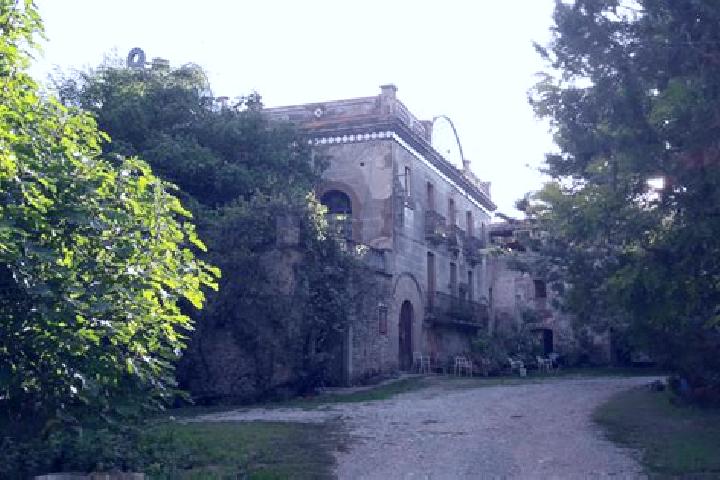 Piper, 21 — Escort in Sant Miquel de Campmajor, Spain