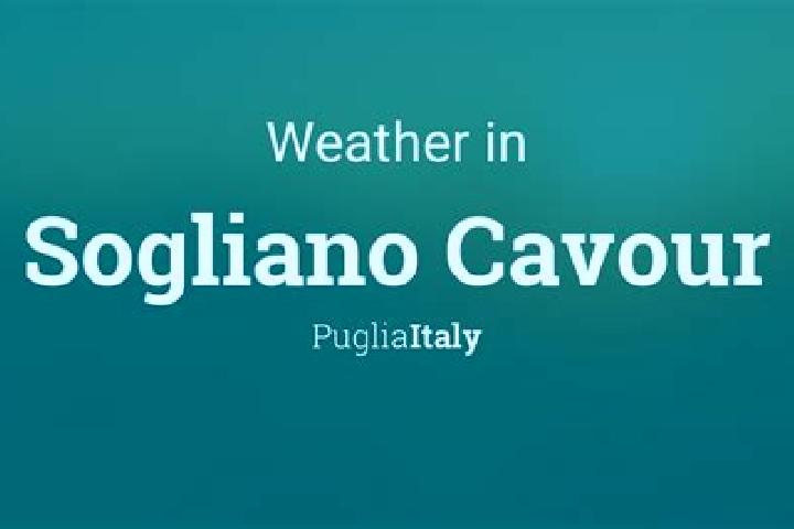Piper, 21 — Escort in Sogliano Cavour, Italy