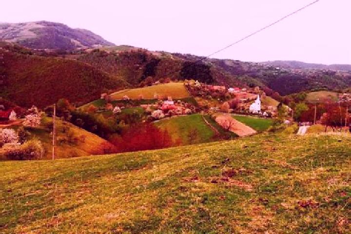 Piper, 21 — Escort in Valea Nucului, Romania