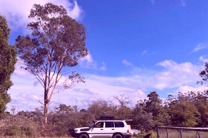 Piper, 21 — Escort in Wedderburn, Australia
