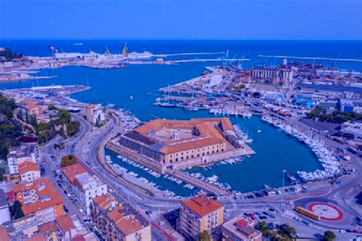 Piper, 22 — Escort in Ancone, France