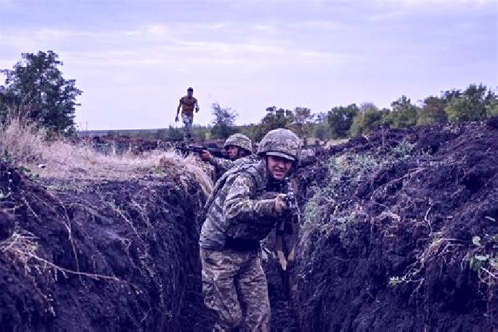 Piper, 22 — Escort in Bukovynka, Ukraine