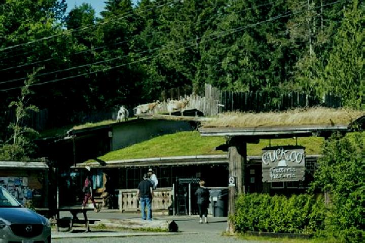 Piper, 22 — Escort in Coombs, Canada