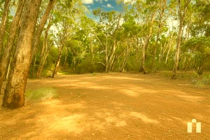 Piper, 22 — Escort in Cottles Bridge, Australia