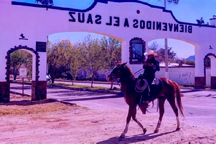 Piper, 22 — Escort in El Sauz de Abajo, Mexico
