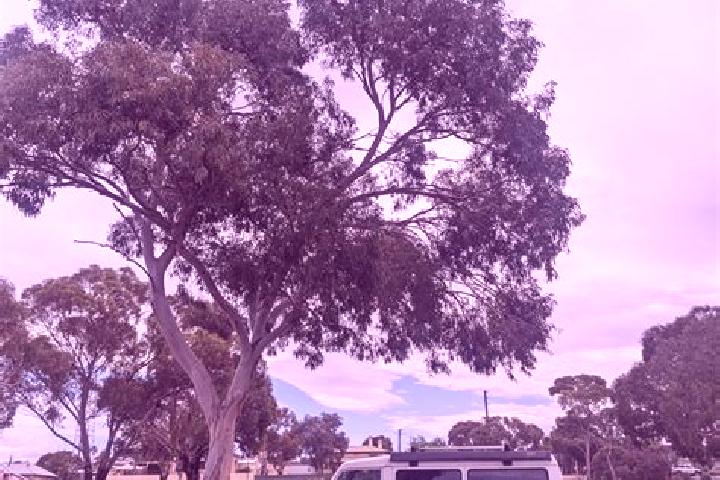 Piper, 22 — Escort in Glen Iris, Australia