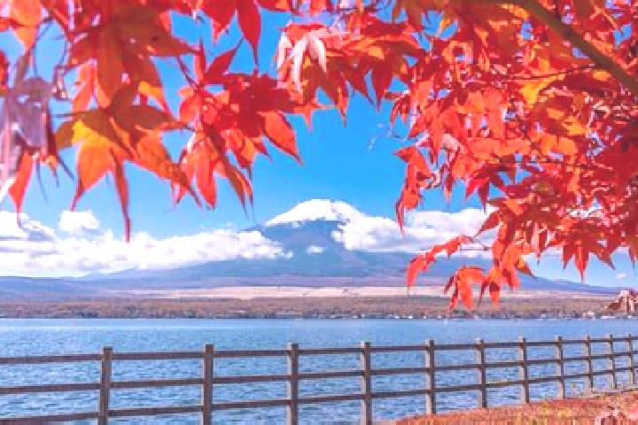 Piper, 22 — Escort in Hiezu, Japan