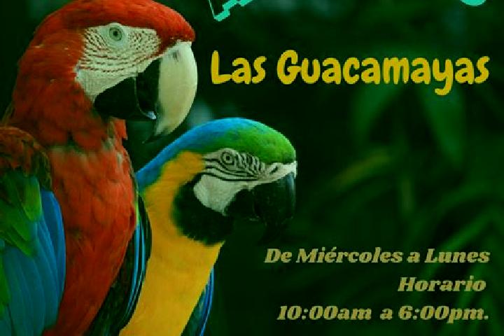 Piper, 22 — Escort in Las Guacamayas, Mexico