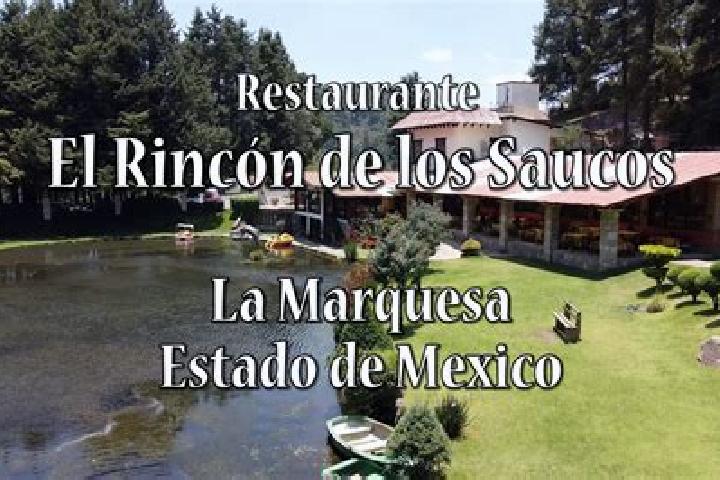 Piper, 22 — Escort in Los Saucos, Mexico