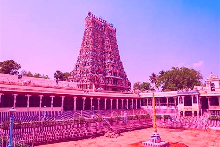 Piper, 22 — Escort in Peddapuram, India
