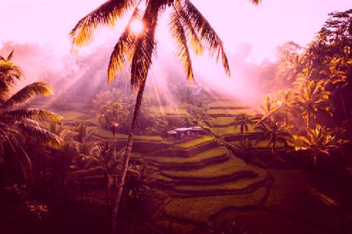 Piper, 22 — Escort in Ubud, Indonesia