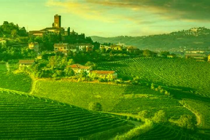 Piper, 22 — Escort in Valloriate, Italy