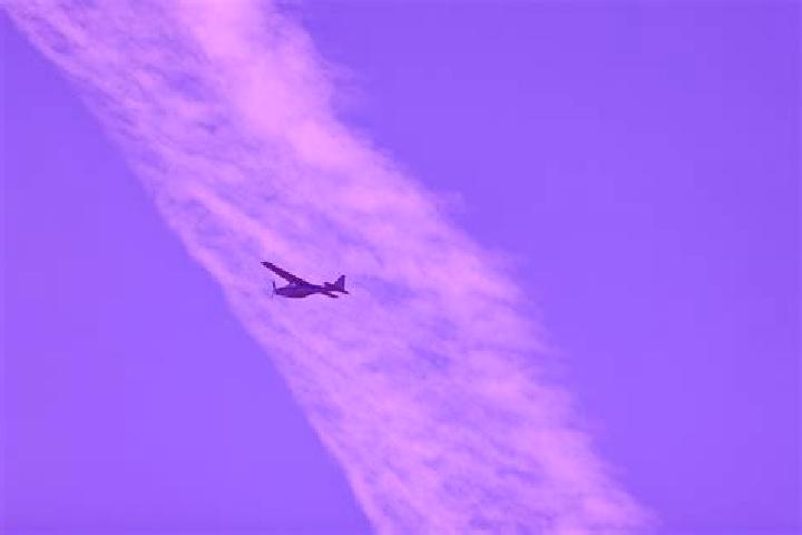 Piper, 22 — Escort in Wolken, Germany