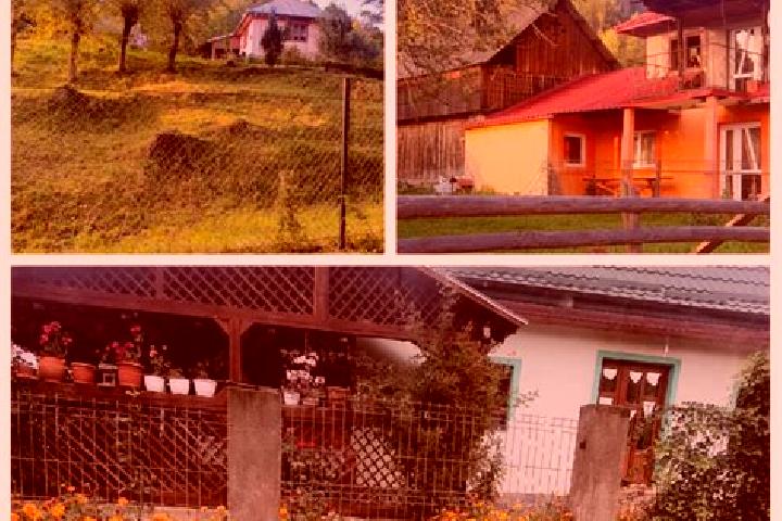 Piper, 23 — Escort in Brusturoasa, Romania