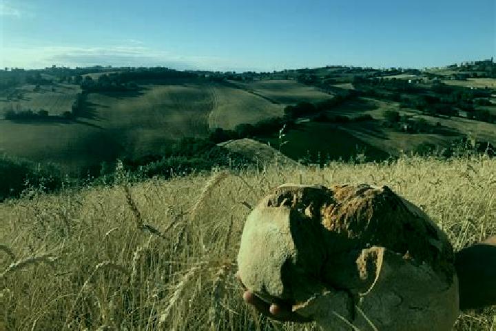 Piper, 23 — Escort in Casette Verdini, Italy