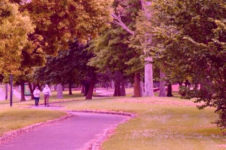 Piper, 23 — Escort in Croydon Park, Australia