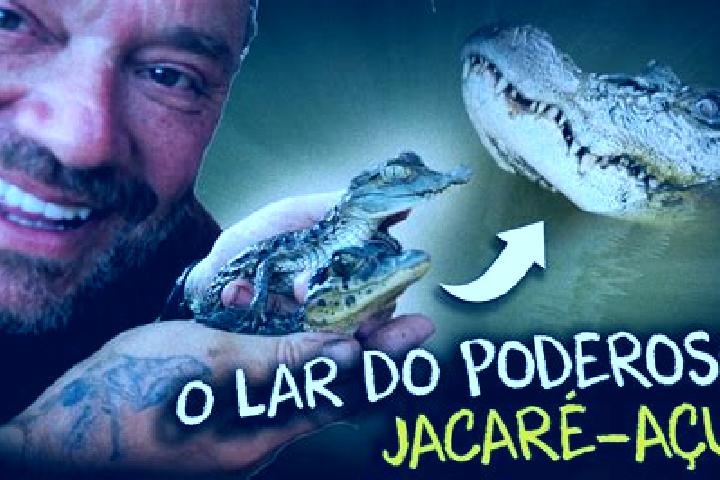 Piper, 23 — Escort in Jacare dos Homens, Brazil