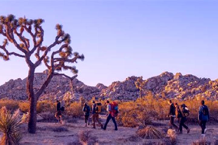 Piper, 23 — Escort in Joshua Tree, United States