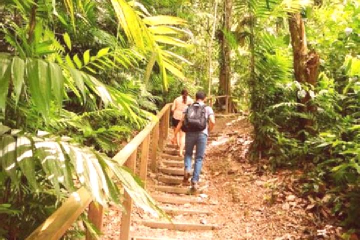 Piper, 23 — Escort in Meambar, Honduras