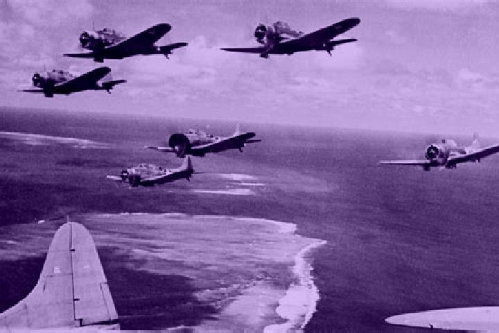 Piper, 23 — Escort in Midway Point, Australia