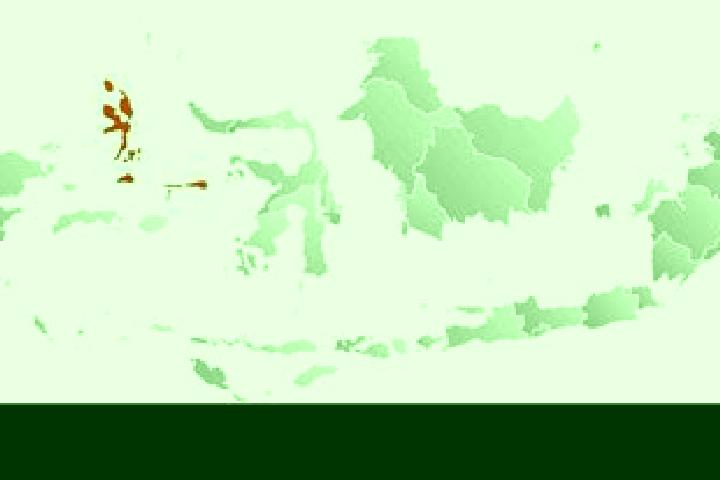 Piper, 23 — Escort in Parakan, Indonesia