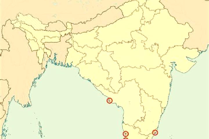 Piper, 23 — Escort in Piduguralla, India