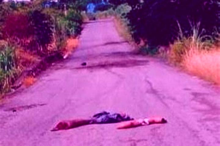 Piper, 23 — Escort in Tataltepec de Valdes, Mexico