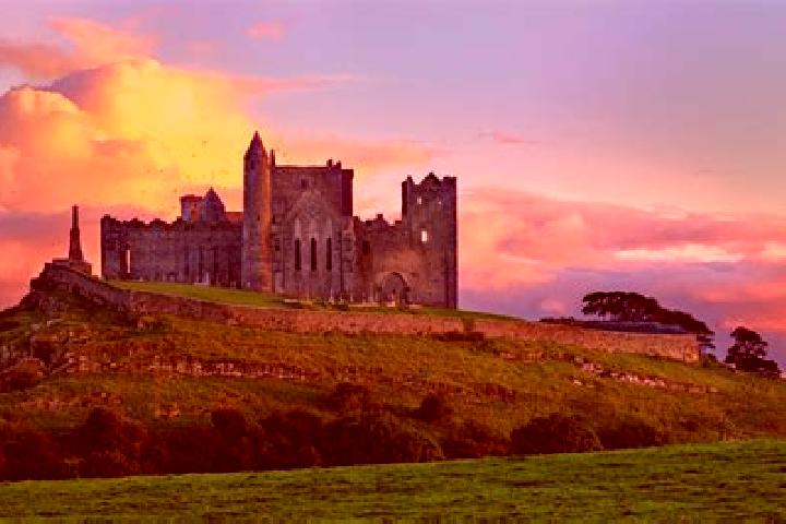 Piper, 23 — Escort in Tipperary, Ireland