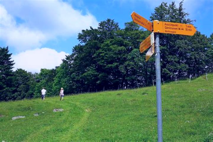 Piper, 23 — Escort in Welschenrohr, Switzerland