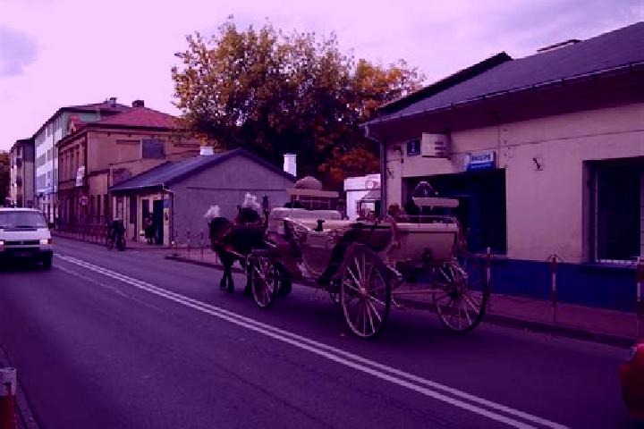 Piper, 23 — Escort in Zakroczym, Poland