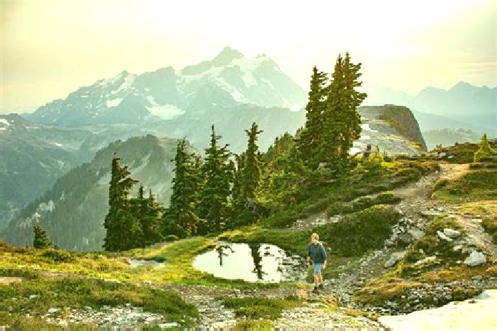 Piper, 24 — Escort in Baker Trails, Canada