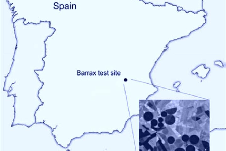 Piper, 24 — Escort in Barrax, Spain