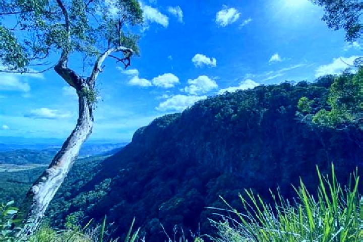 Piper, 24 — Escort in Canungra, Australia
