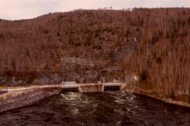Piper, 24 — Escort in Churchill Falls, Canada