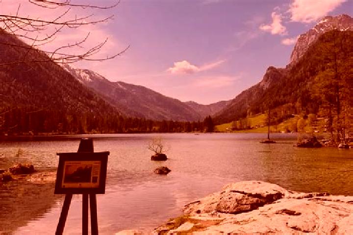 Piper, 24 — Escort in Hintersee, Austria