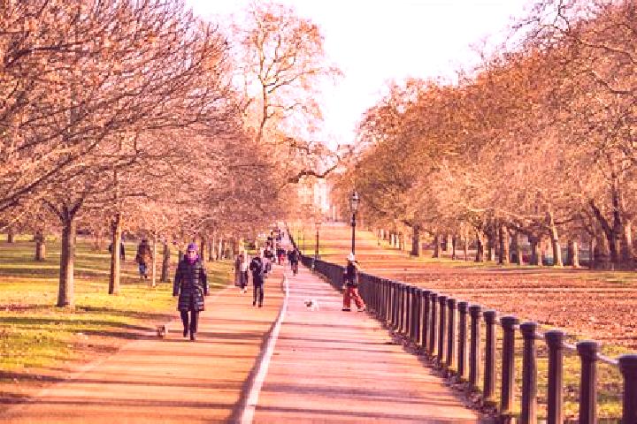 Piper, 24 — Escort in Hyde Park, Australia