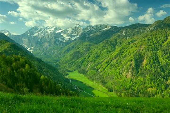 Piper, 24 — Escort in Leskova Dolina, Slovenia