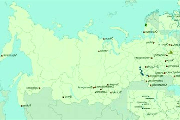 Piper, 24 — Escort in Likhoslavl , Russia