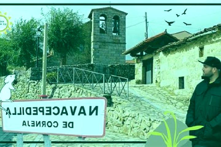 Piper, 24 — Escort in Navacepedilla de Corneja, Spain