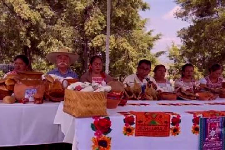 Piper, 24 — Escort in San Antonio Tepetlapa, Mexico