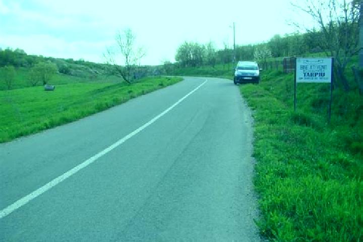 Piper, 24 — Escort in Tarpiu, Romania