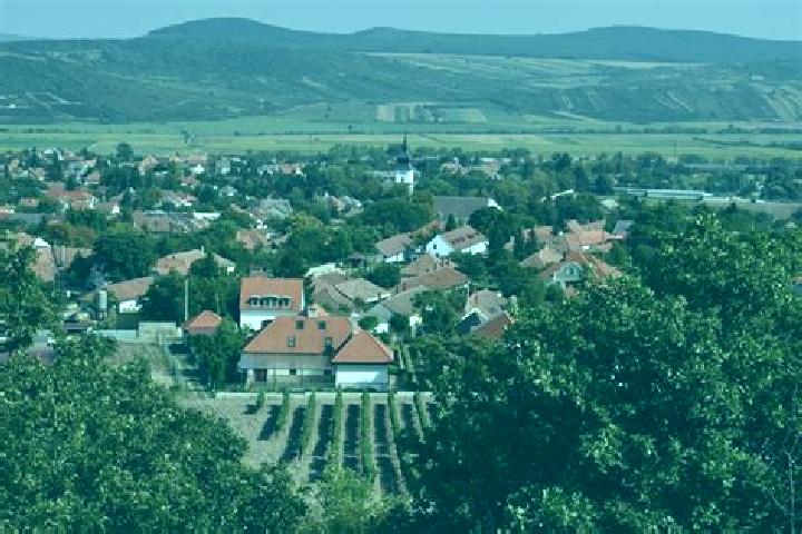 Piper, 24 — Escort in Tokaj, Hungary