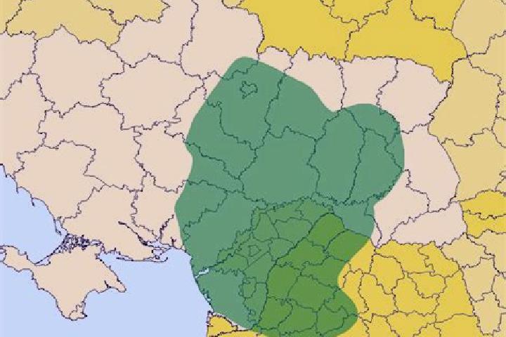 Piper, 24 — Escort in Trypillia, Ukraine