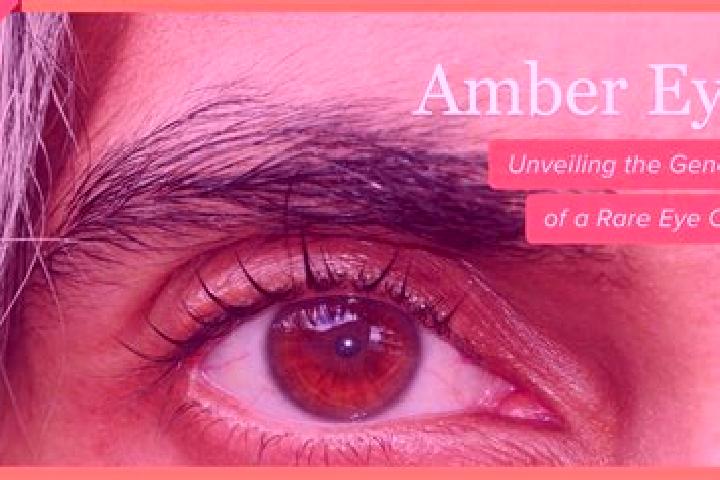 Piper, 25, a black amber-eyed european companion based in Tobo. Offering Roleplay, Erotic Massage, Girlfriend Experience, Overnight. Available for incall and...