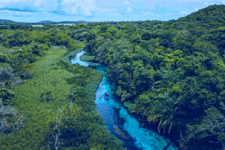 Piper, 25 — Escort in Bonito, Brazil