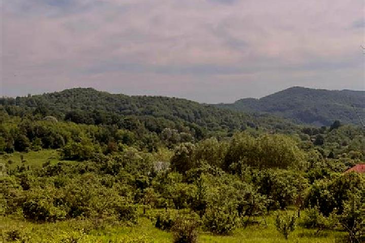 Piper, 25 — Escort in Ceparii Pamanteni, Romania